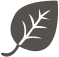 邦达